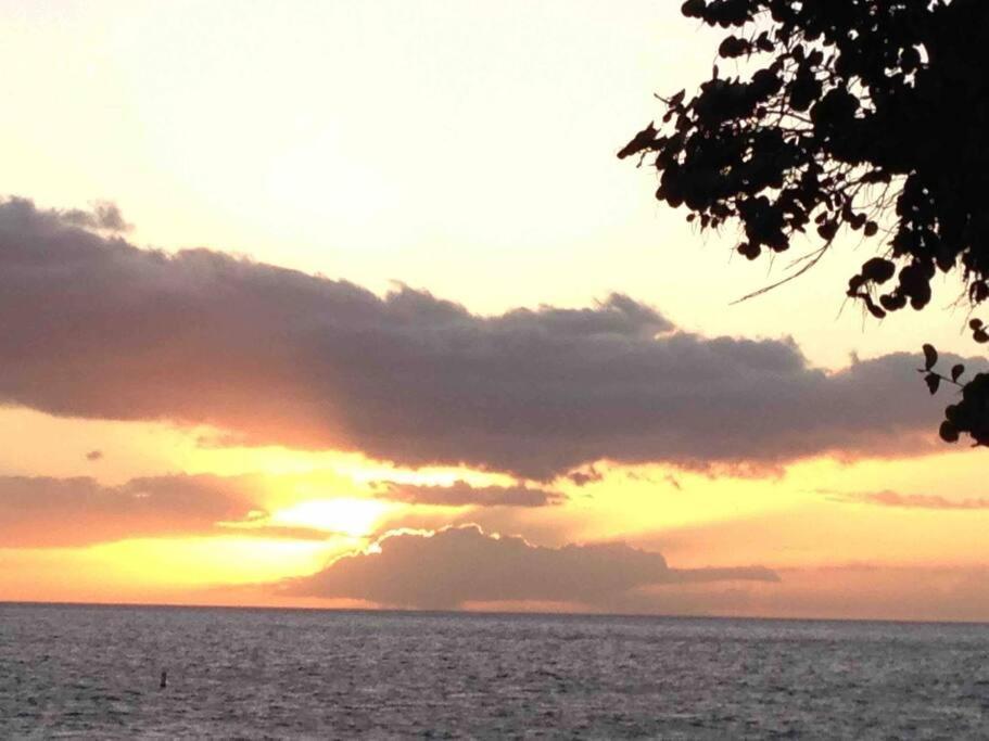 Unrivaled S Kihei Maui Location! Walk To It All! Zewnętrze zdjęcie